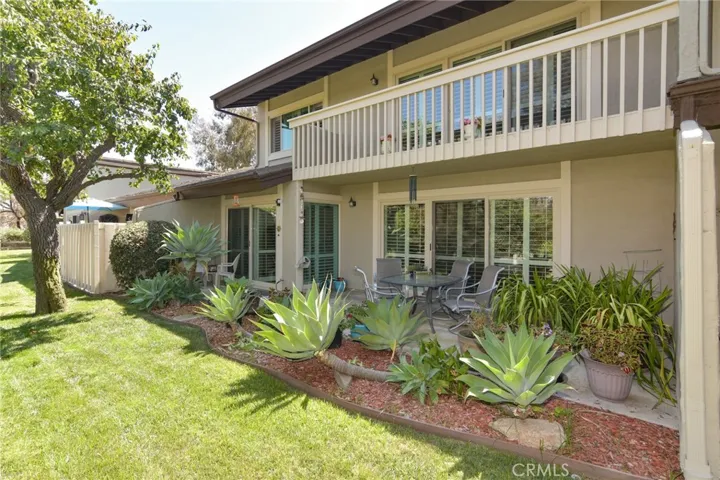 Back yard