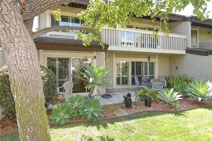 Back Patio