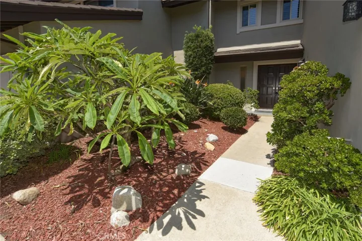 Front Walkway