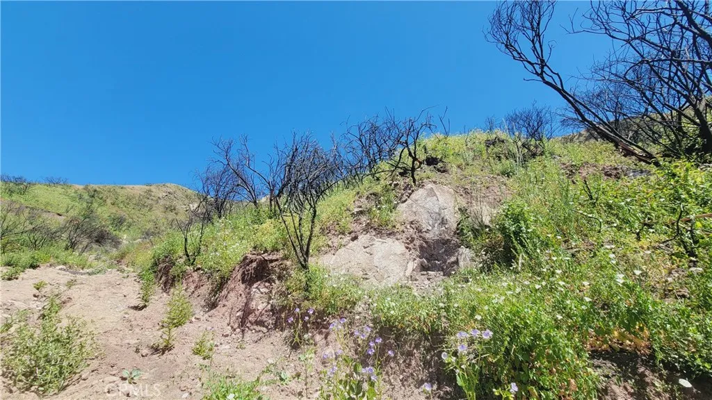 0 Piuma Road, Malibu, California 90265 — photo 4