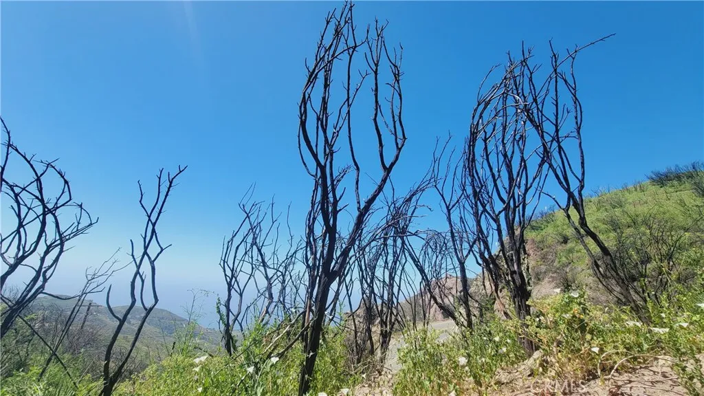 0 Piuma Road, Malibu, California 90265 — photo 5