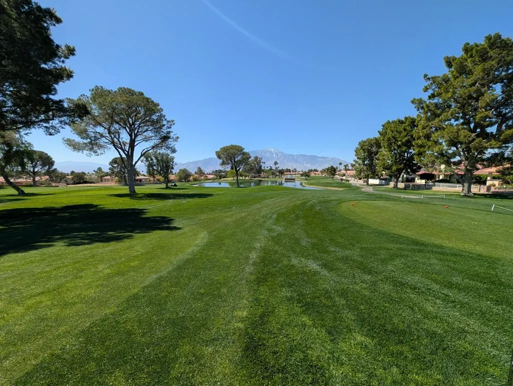 9643 Spyglass Avenue 41, Desert Hot Springs, California 92240 — photo 5