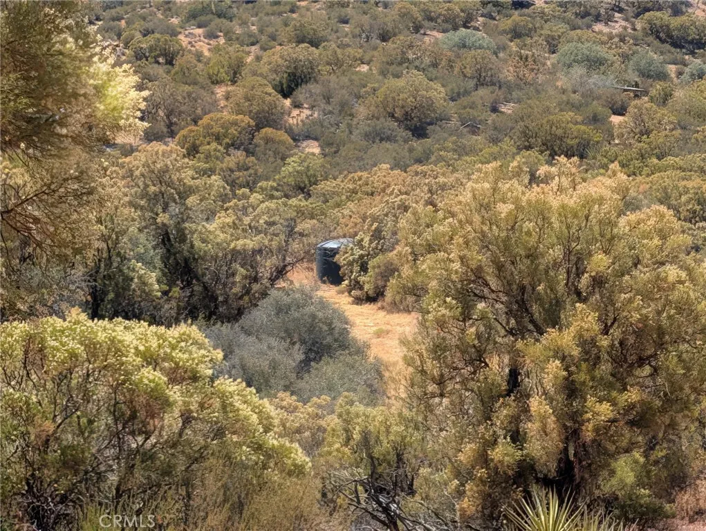 0 Upper Tule Road, Anza, California 92539 — photo 5
