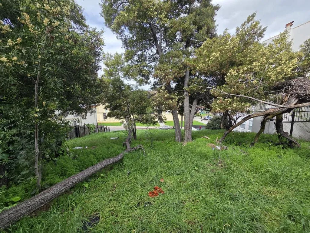2120 35th Avenue, Oakland, California 94601 — photo 4