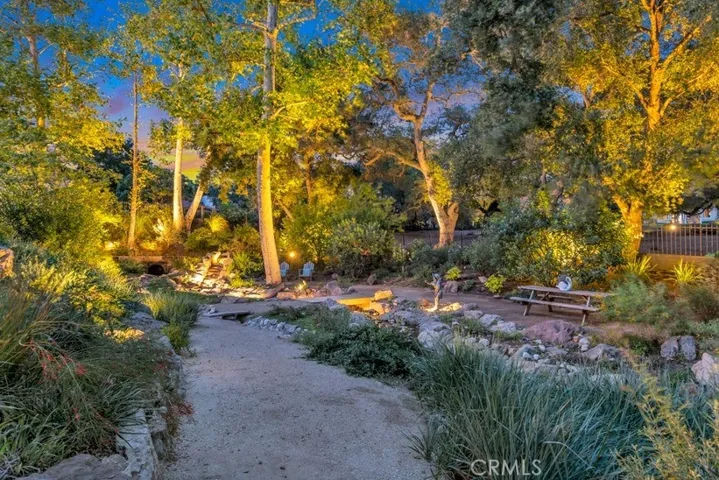Night View of Creek