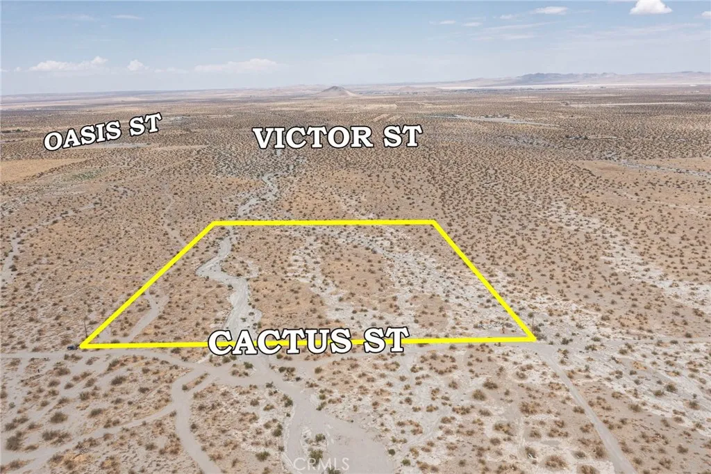 31001214 Cactus Road, Pinon Hills, California 92372 — photo 4