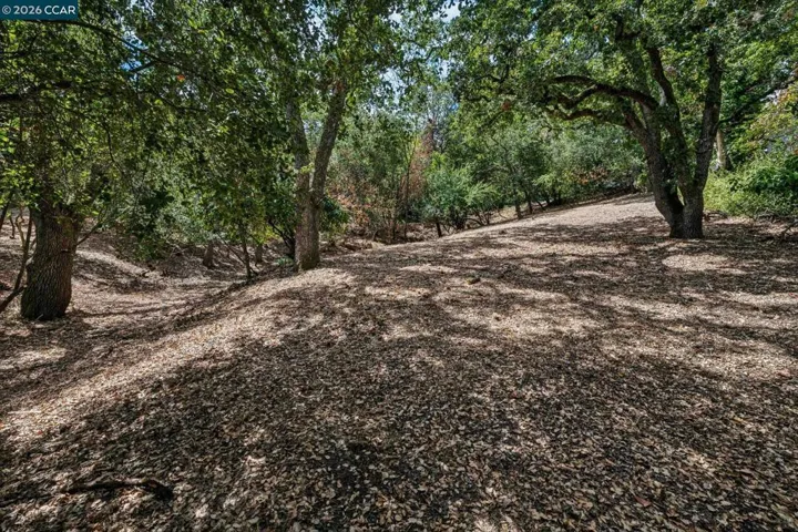 Ridge Road, Lafayette, California 94549 — photo 5