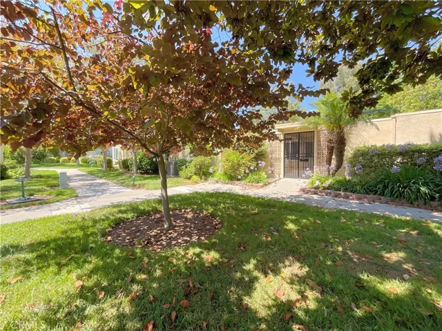Tranquil Yard in front