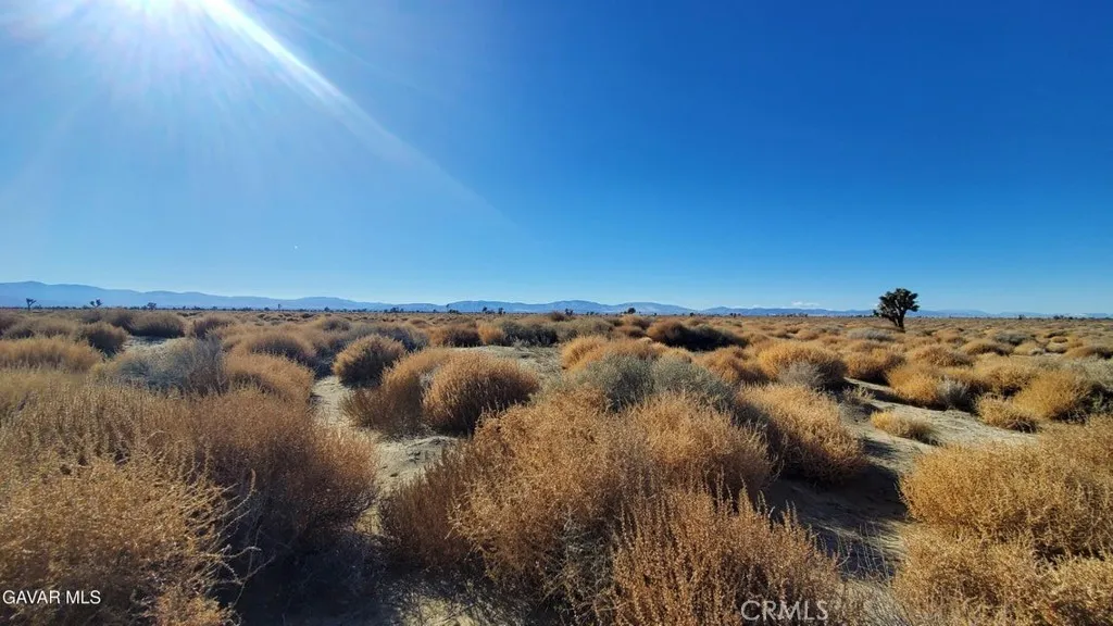 0 Vicinity Avenue L2 & 77th East, Palmdale, California 93535 — photo 4