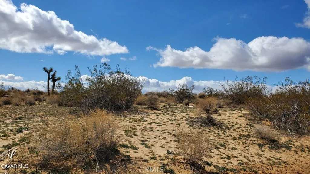 0 Reed Ave, Mojave, California 93501 — photo 5