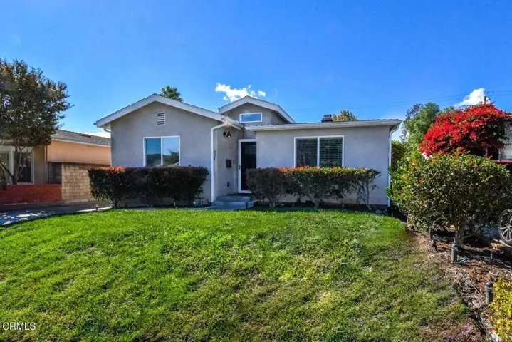Front yard