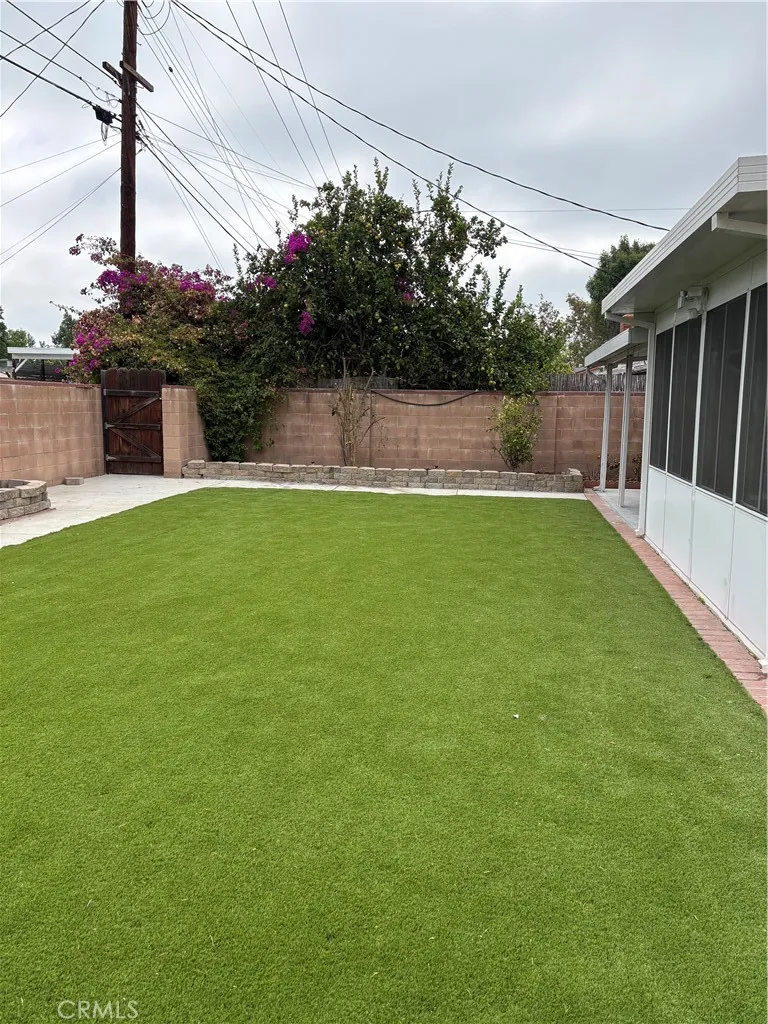 Backyard