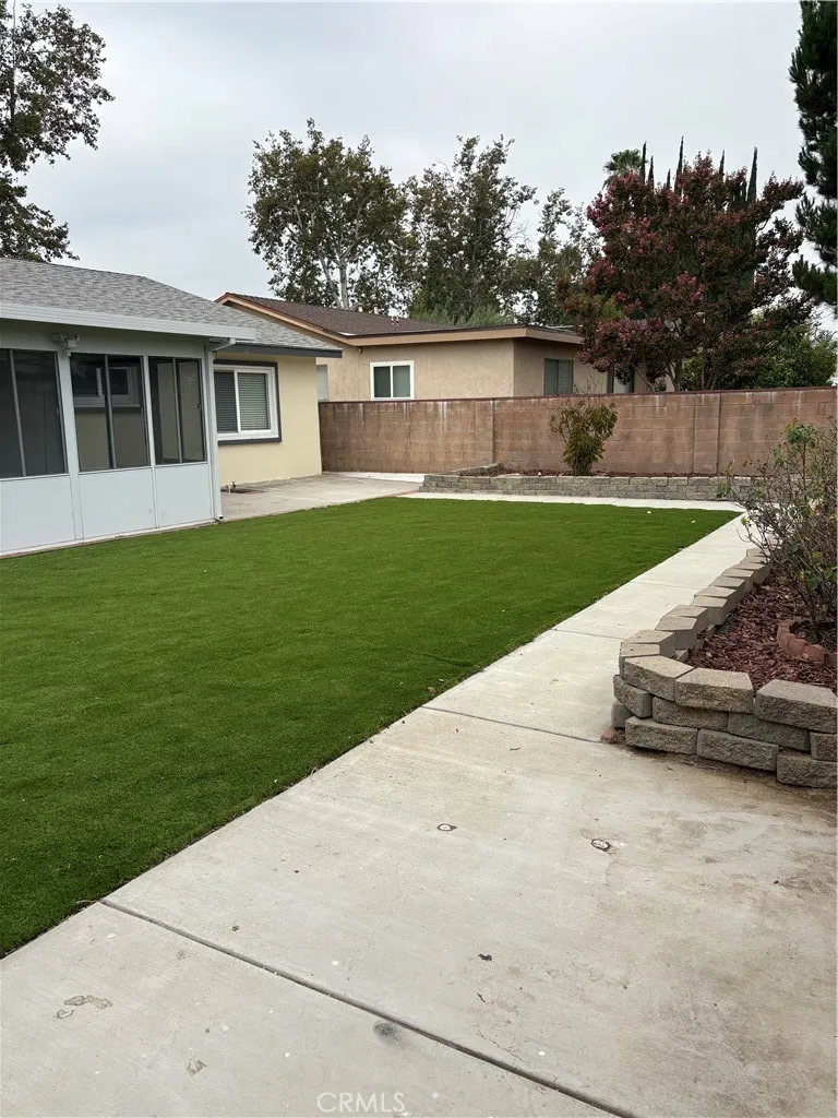 Backyard