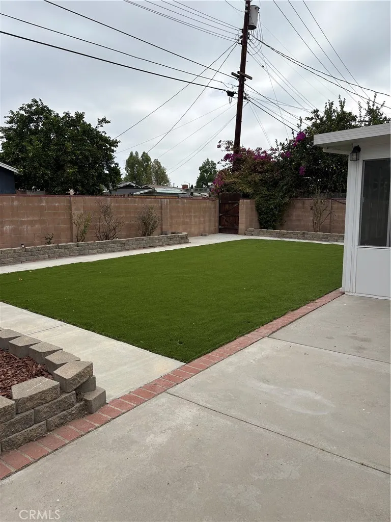 Backyard