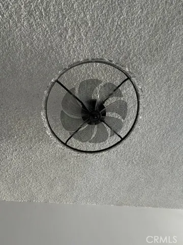 Custom fan and light