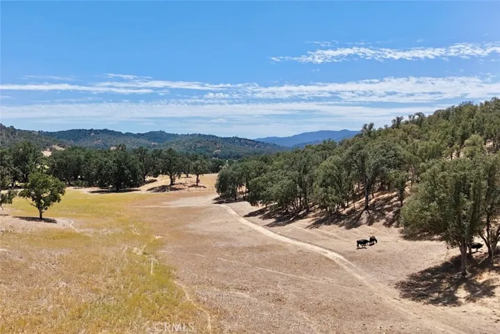 49460 Sapaque Road, Bradley, California 93426 — photo 4