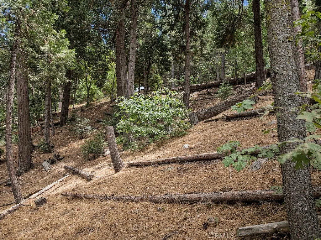 0 San Moritz (0 Horst), Crestline, California 92325 — photo 4