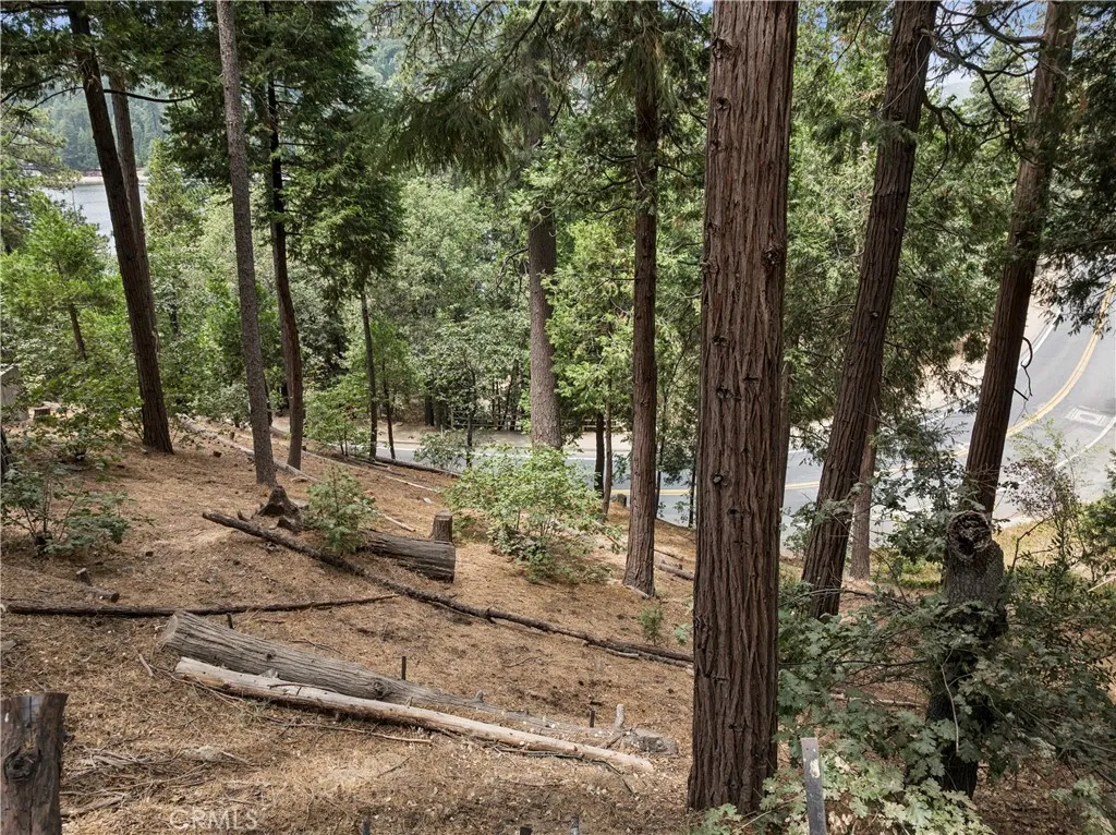 0 San Moritz (0 Horst), Crestline, California 92325 — photo 5