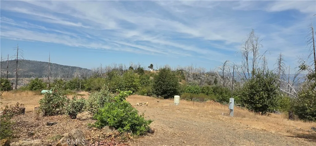 274 Webster, Berry Creek, California 95916 — photo 5