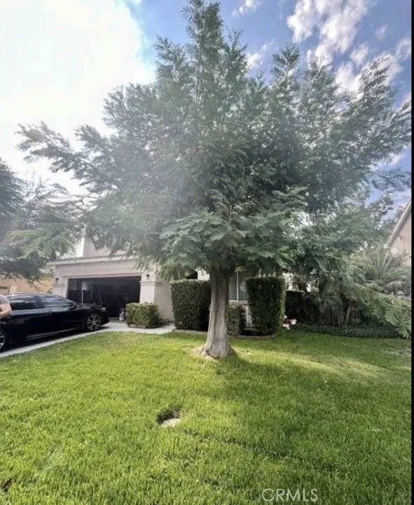 1166 Sykes Dr