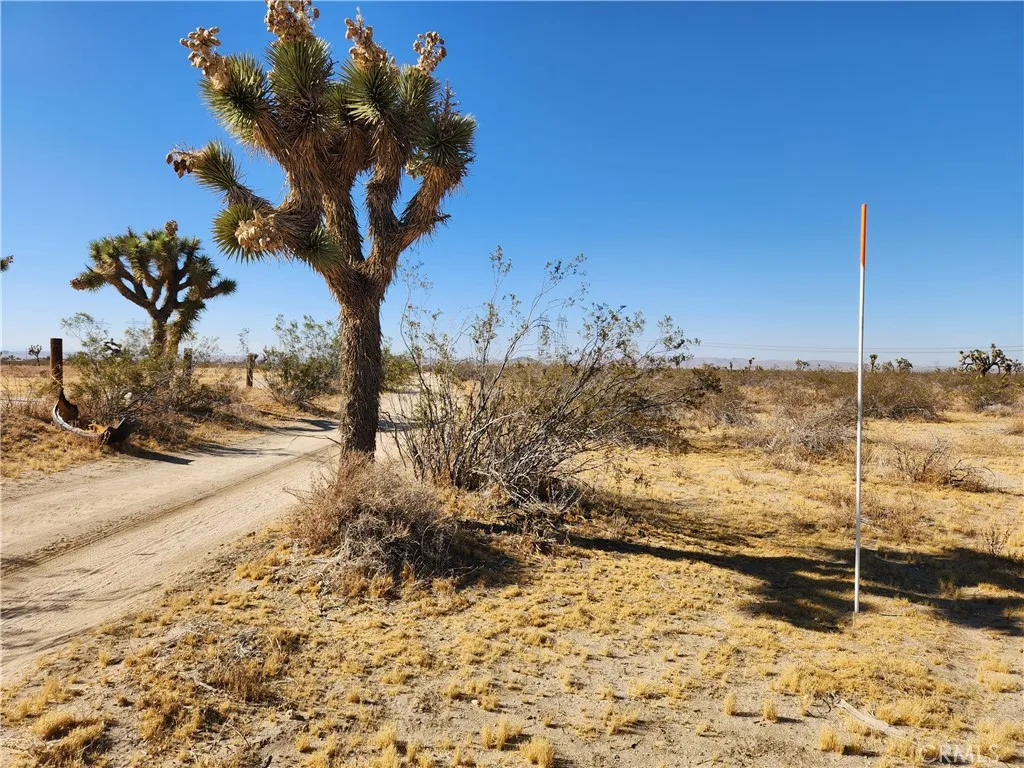 40 Ac Pomona Road, Pinon Hills, California 92372 — photo 5