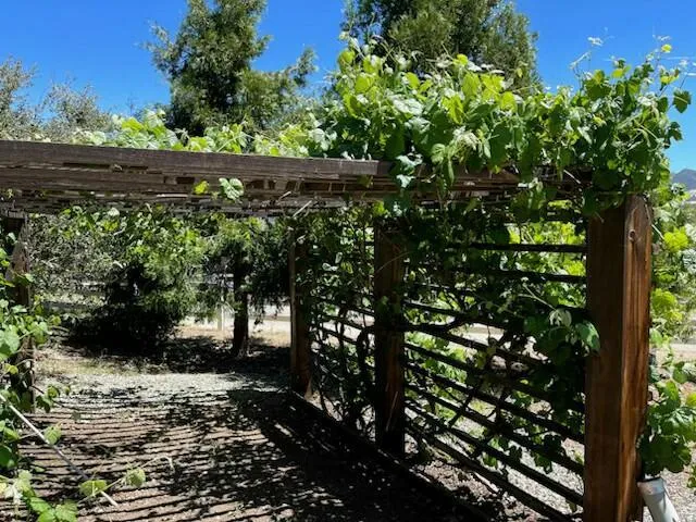 Henderson arbor