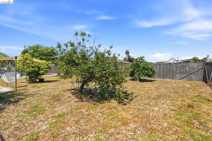 Spacious backyard with mature trees and wood fencing