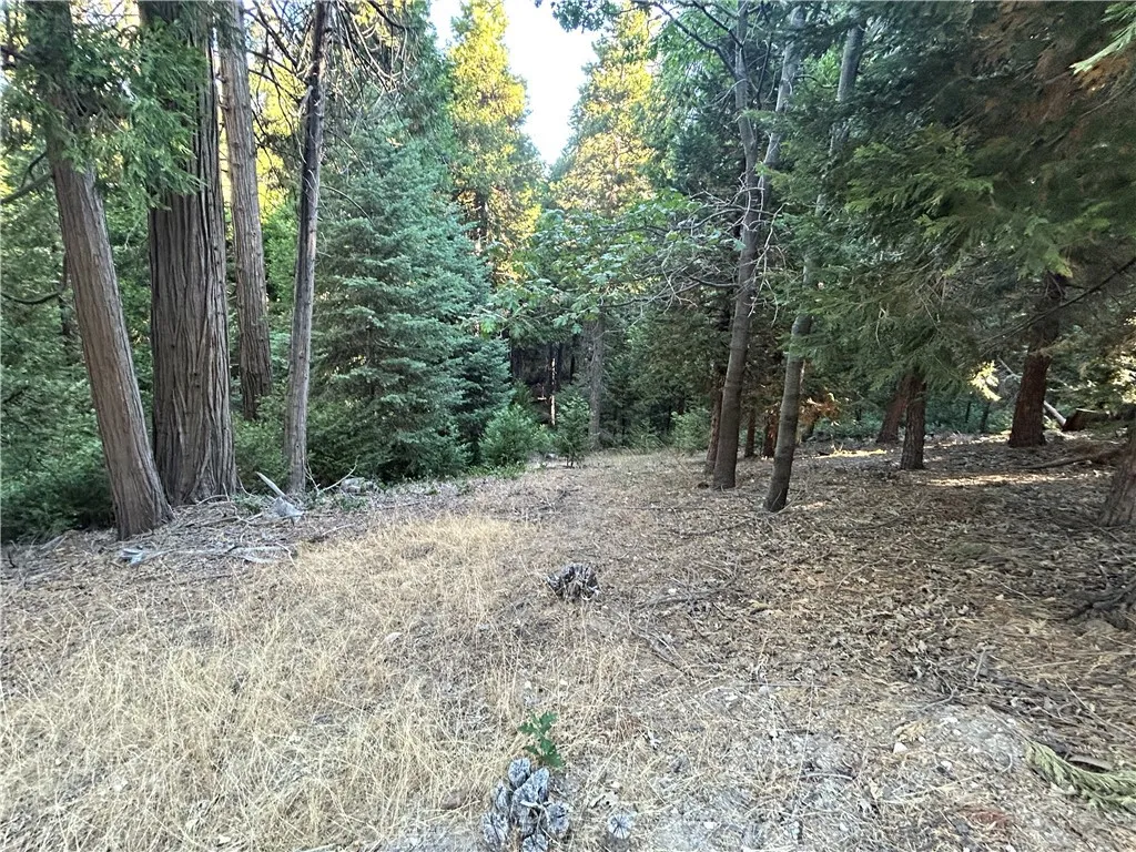 28980 White Dove Lane, Lake Arrowhead, California 92352 — photo 4
