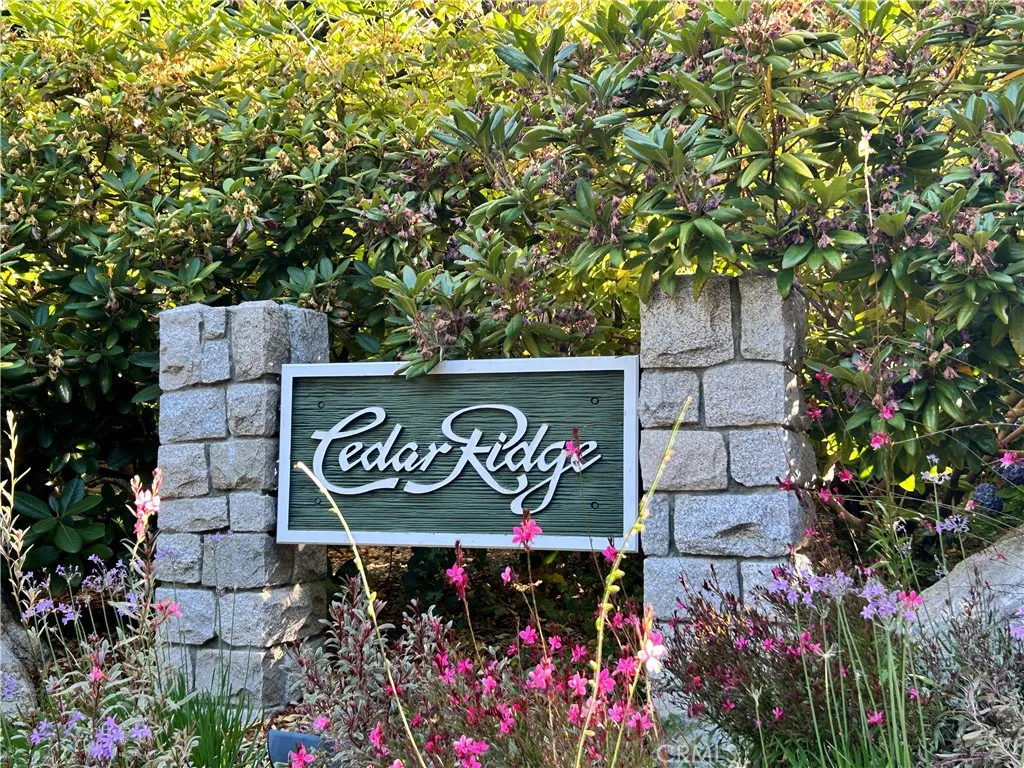 28980 White Dove Lane, Lake Arrowhead, California 92352 — photo 5
