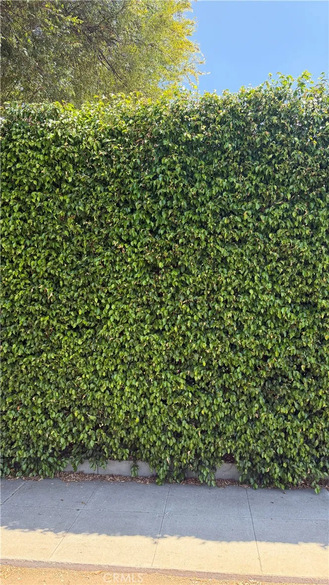Mature privacy hedges create a peaceful, secluded setting.
