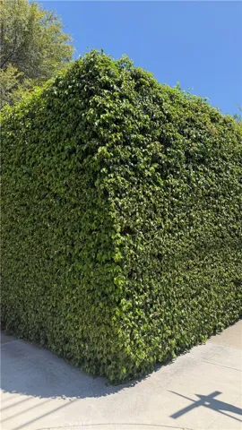 Lush landscaping provides exceptional privacy year-round.