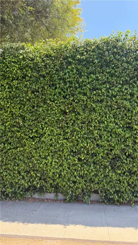Mature privacy hedges create a peaceful, secluded setting.