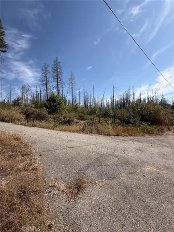 0 Oak Drive, Berry Creek, California 95916 — photo 5