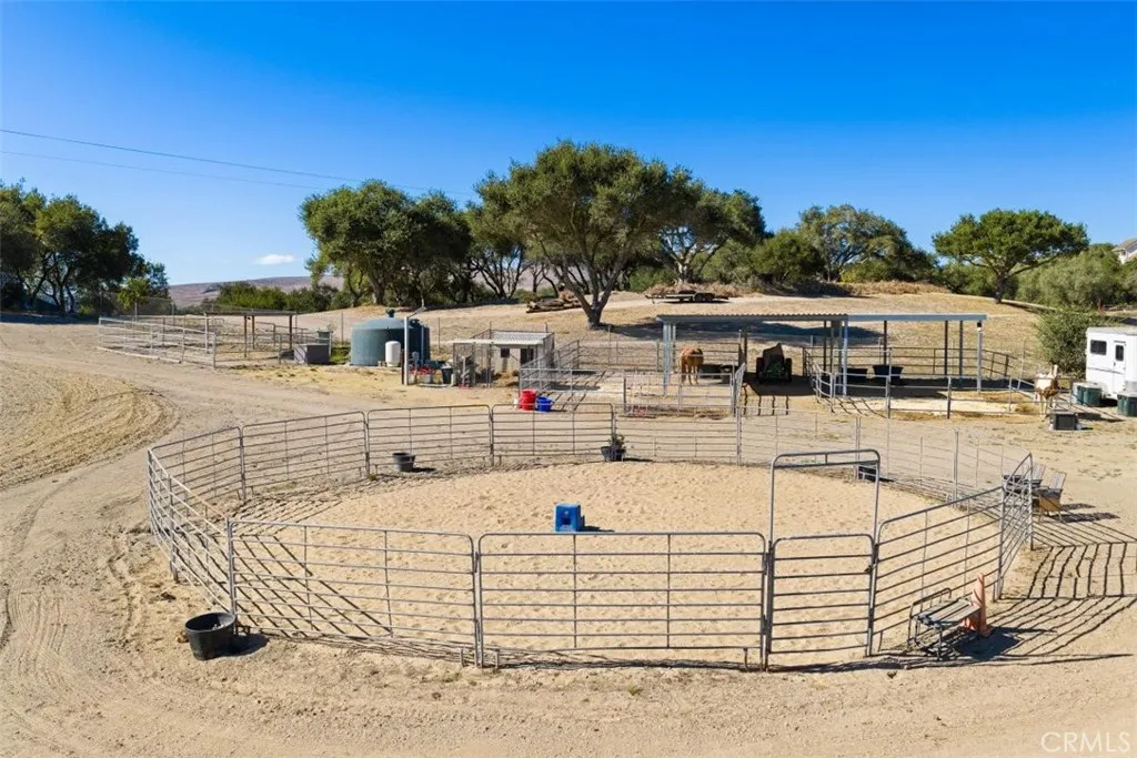 horse set up