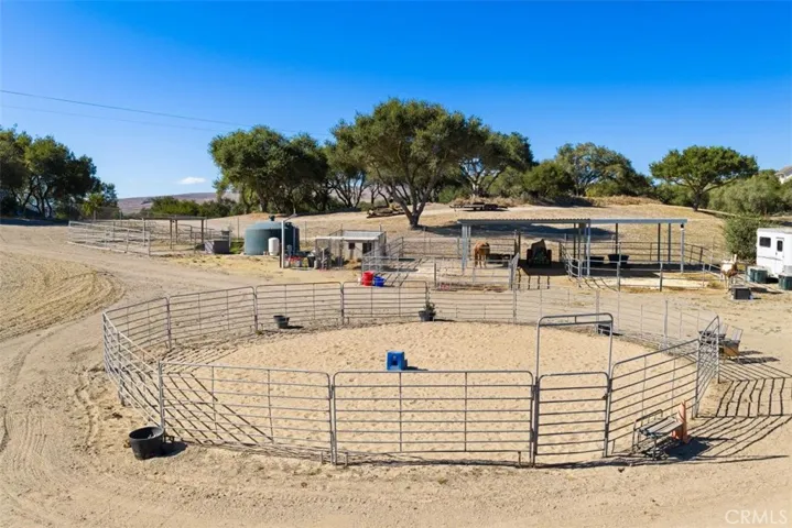horse set up