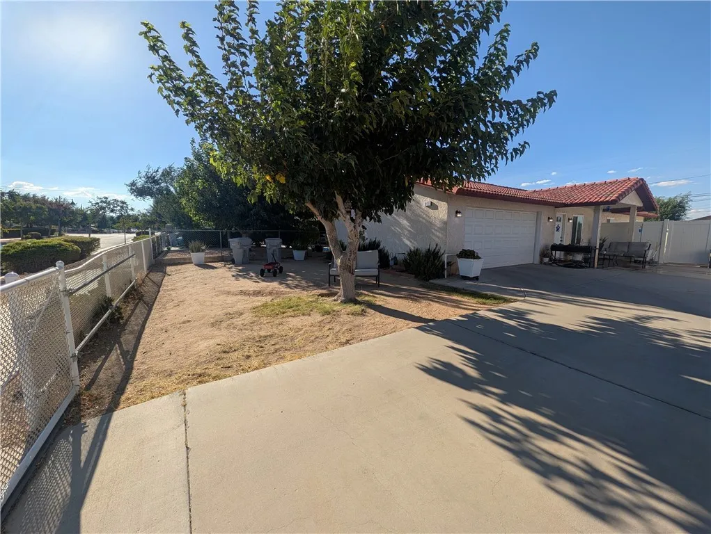 16410 Smoke Tree