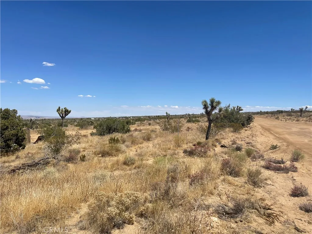 0 Vac Fort Tejon Drt Vic, Llano, California 93544 — photo 5