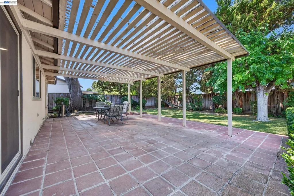 Backyard Backyard