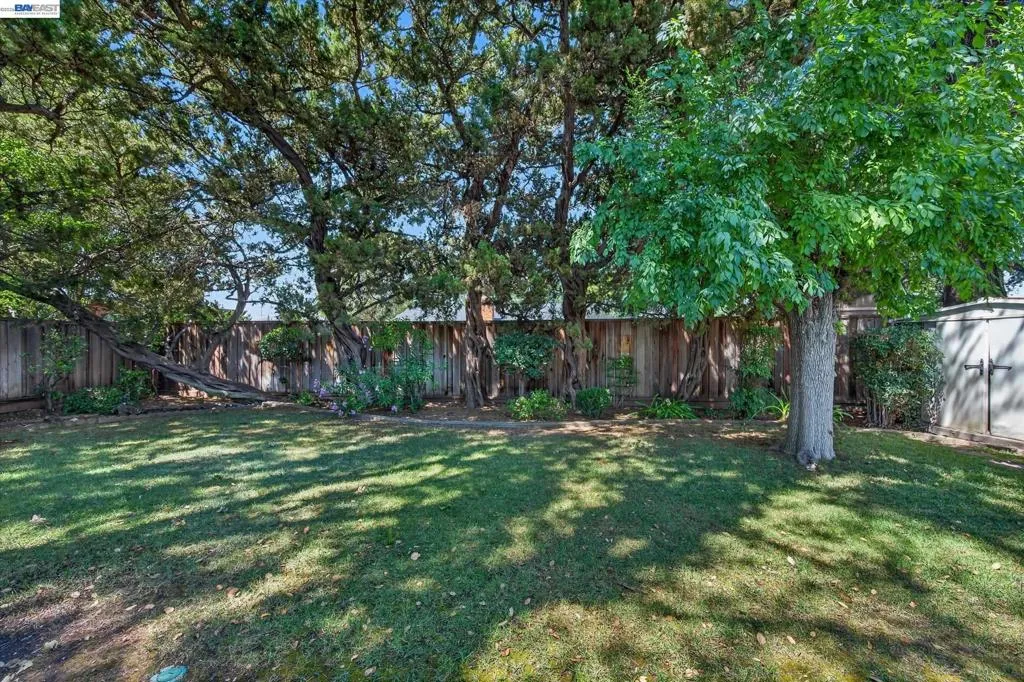 Backyard Backyard