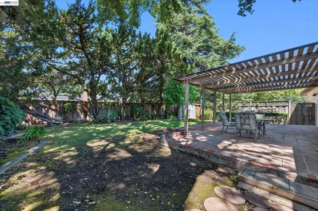 Backyard Backyard