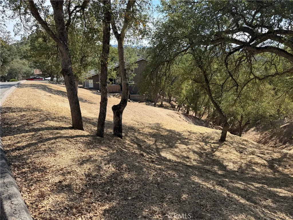2517 Captains Walk, Bradley, California 93426 — photo 4