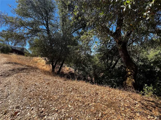 7220 Shasta Street, Nice, California 95464 — photo 4