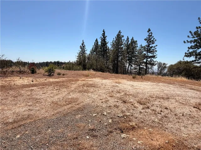 Site of previous home