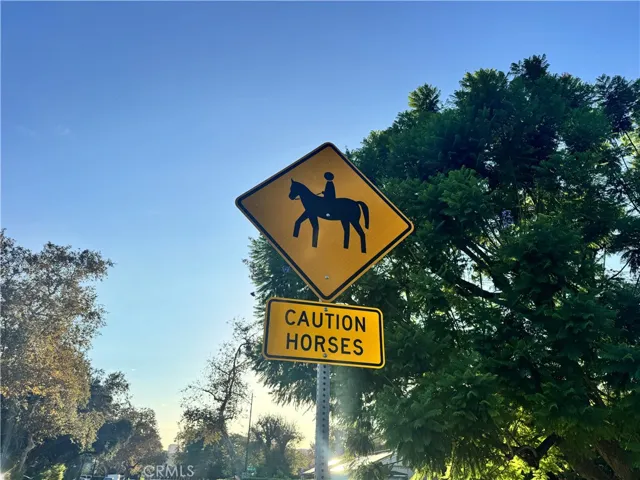 Horse crossing near the house