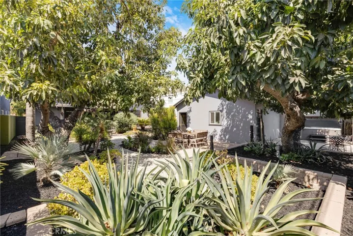 Two stunning mature avocado trees on large 9100+ sqft flat lot
