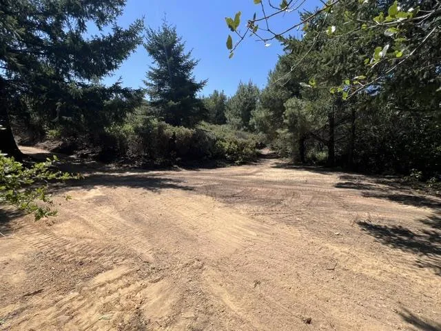 36000 Mt Madonna Road, Morgan Hill, California 95037 — photo 4