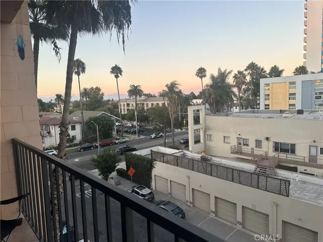Lani, left view