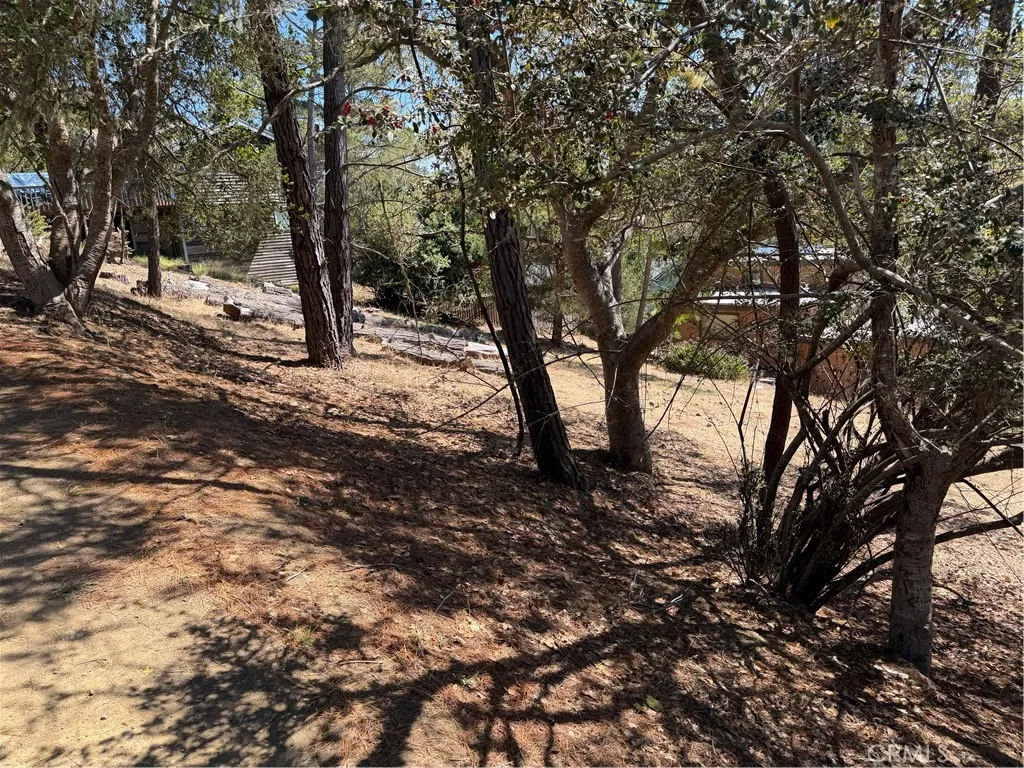 0 Pierce Ave, Cambria, California 93428 — photo 5