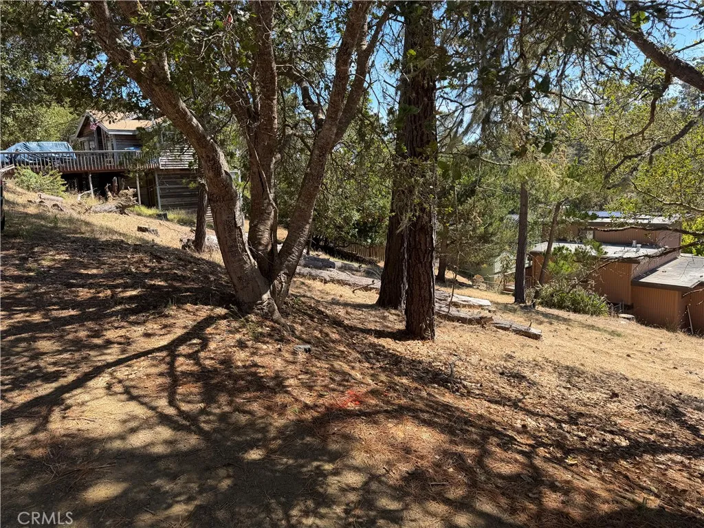 0 Pierce Ave, Cambria, California 93428 — photo 4