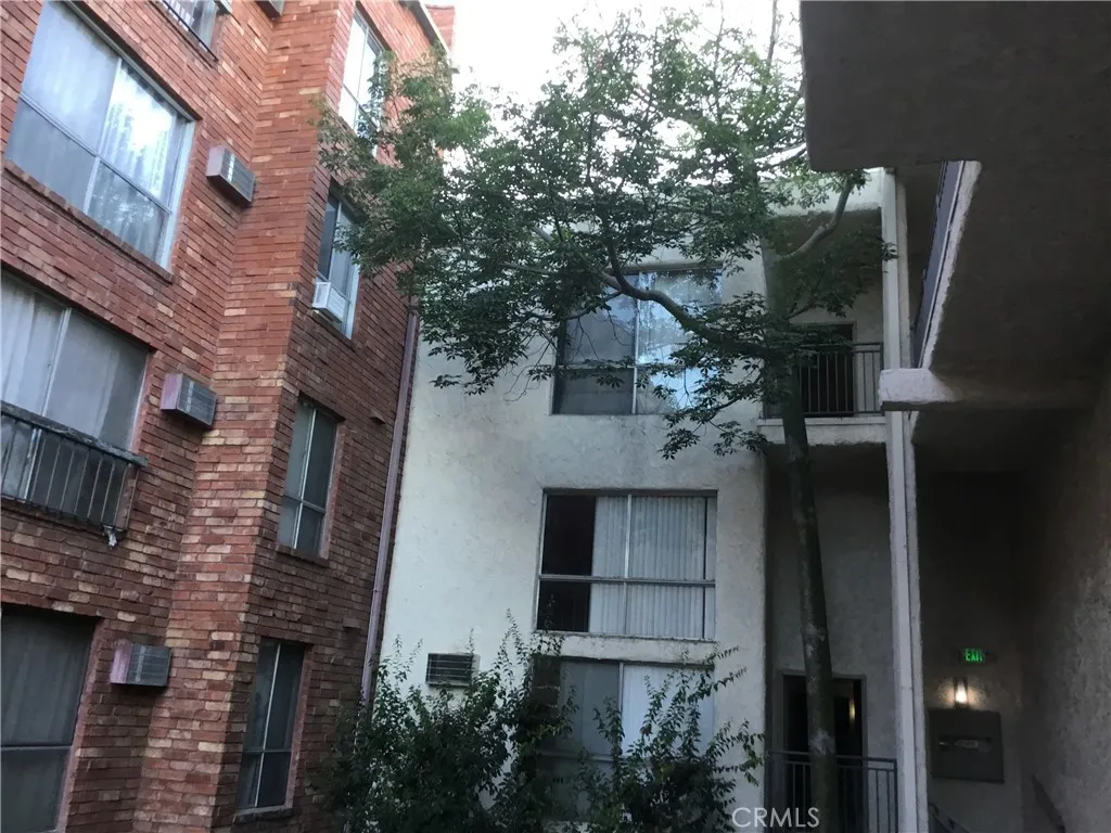 Tall Tree Patio